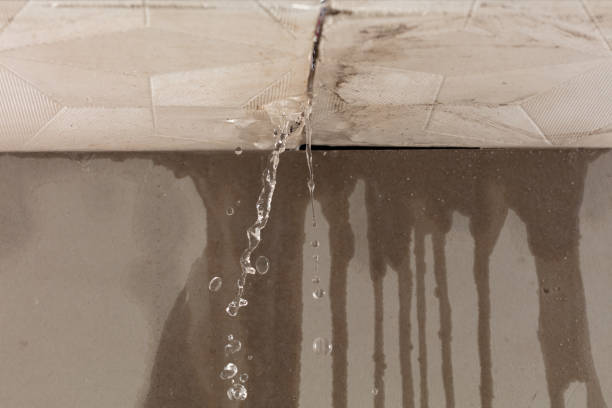 Professional Burst Pipe Cleanup technician working in Canal Point, FL